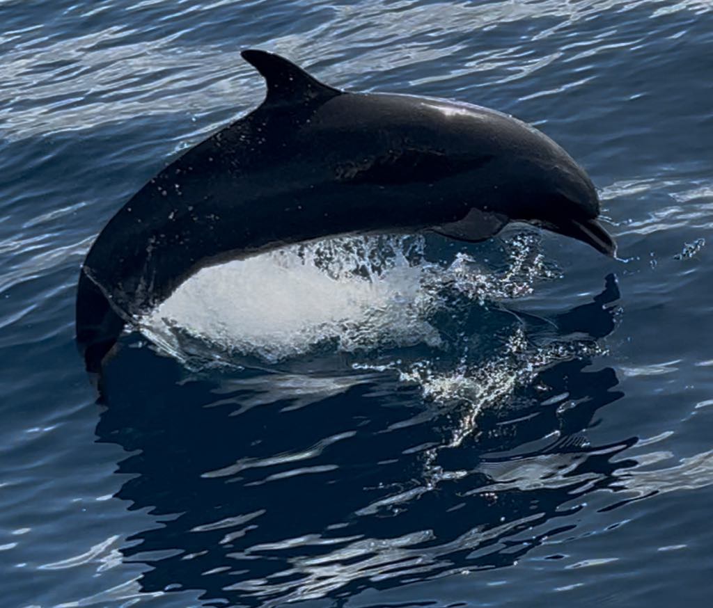COTE BLEUE VOYAGES